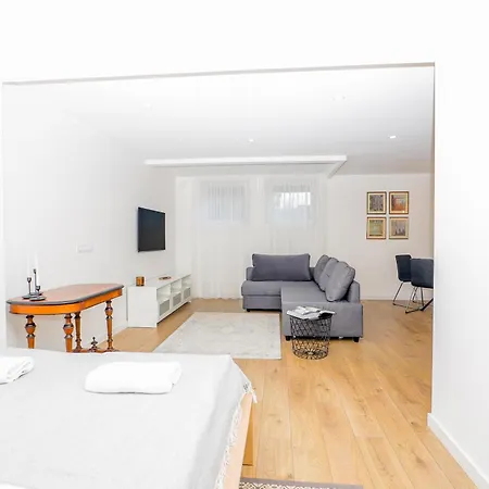 The Spinner Spot I Self Check-in I ᴄᴏʜᴏsᴛ Apartment Klaipeda