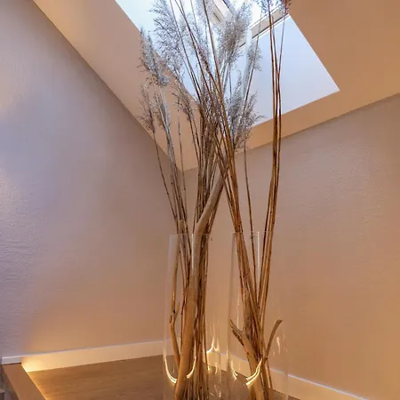 The Spinner Spot I Self Check-in I ᴄᴏʜᴏsᴛ