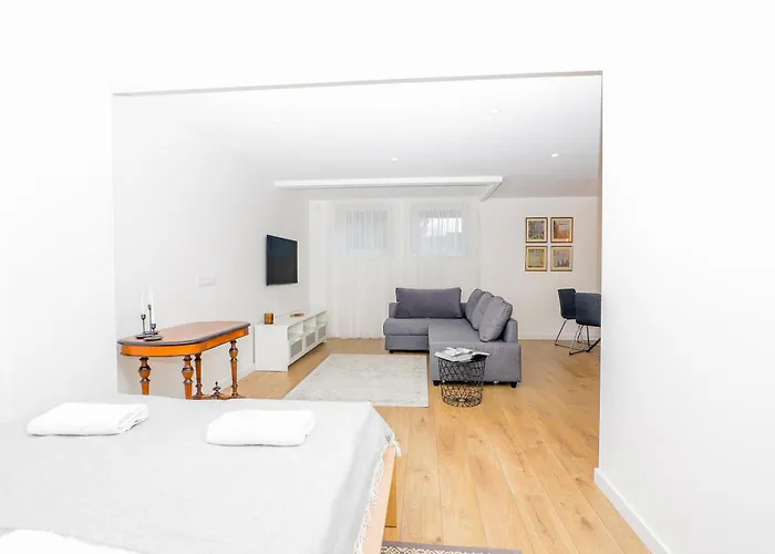 The Spinner Spot I Self Check-in I Cohost Butas Klaipeda