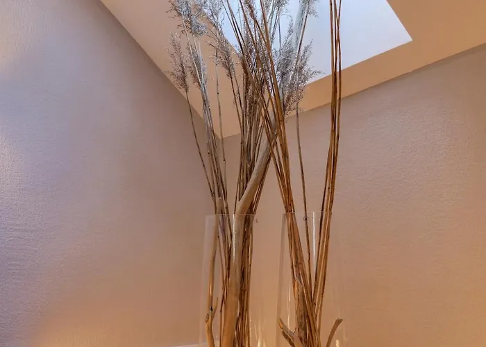 The Spinner Spot I Self Check-in I Cohost